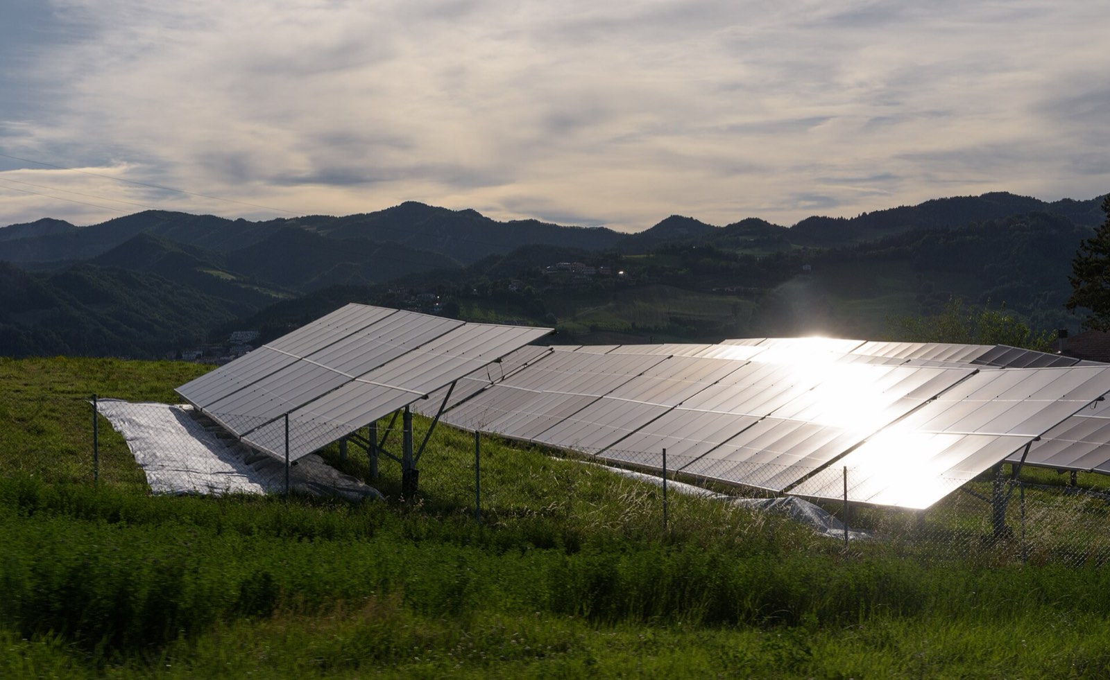 Paneles solares sobre una colina verde